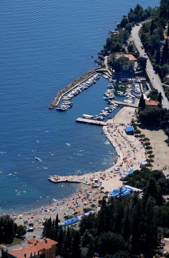 Palmgarden Opatija-icici *