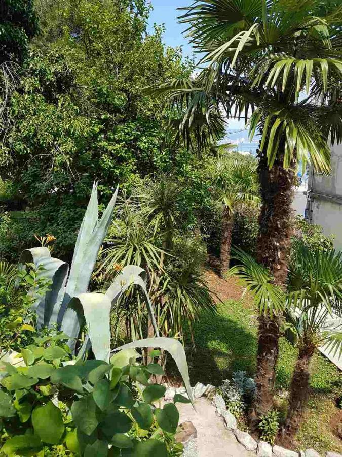 Palmgarden Opatija-icici